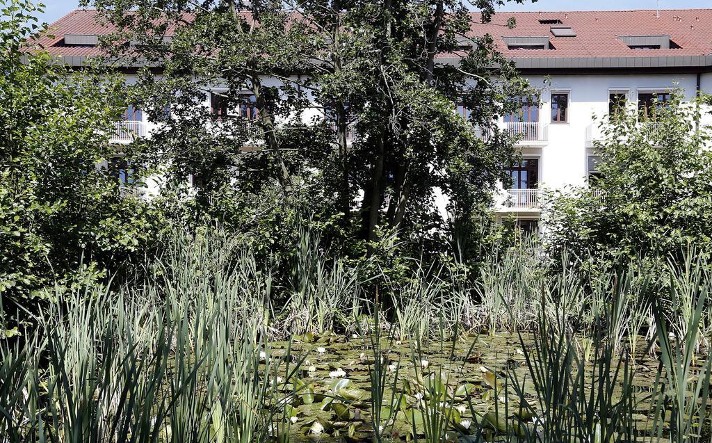 Tagungs- Und Bildungszentrum Steinbach/Taunus Steinbach im Taunus Exterior foto